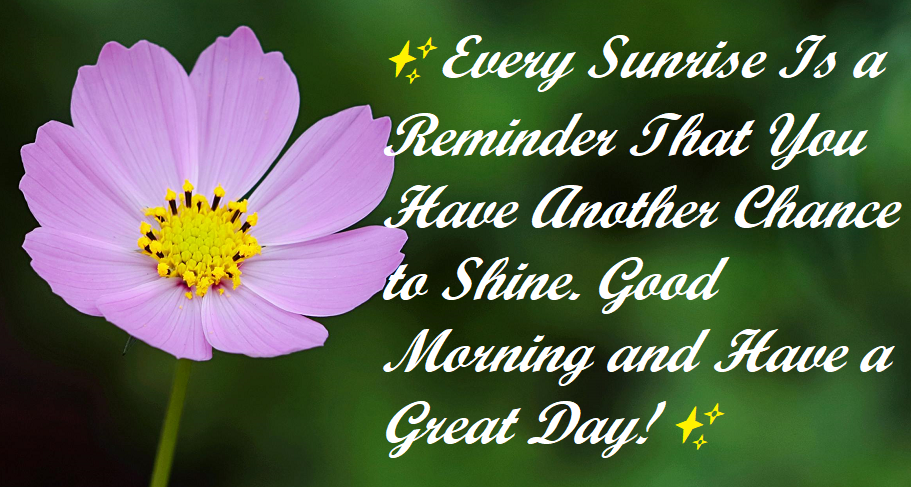 Good morning and have a great day image