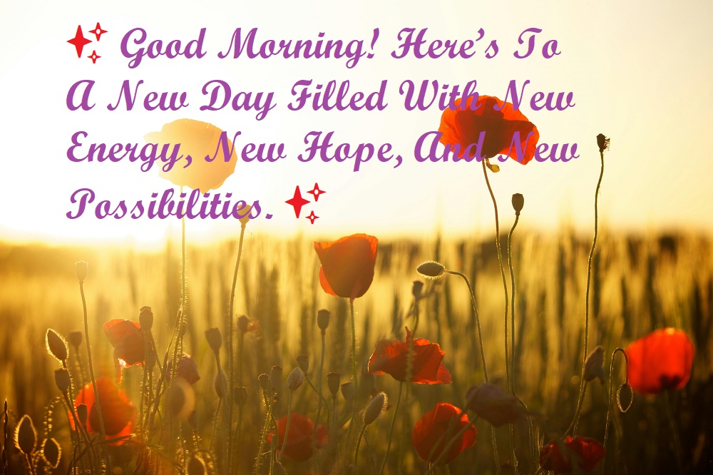 filled with new energy