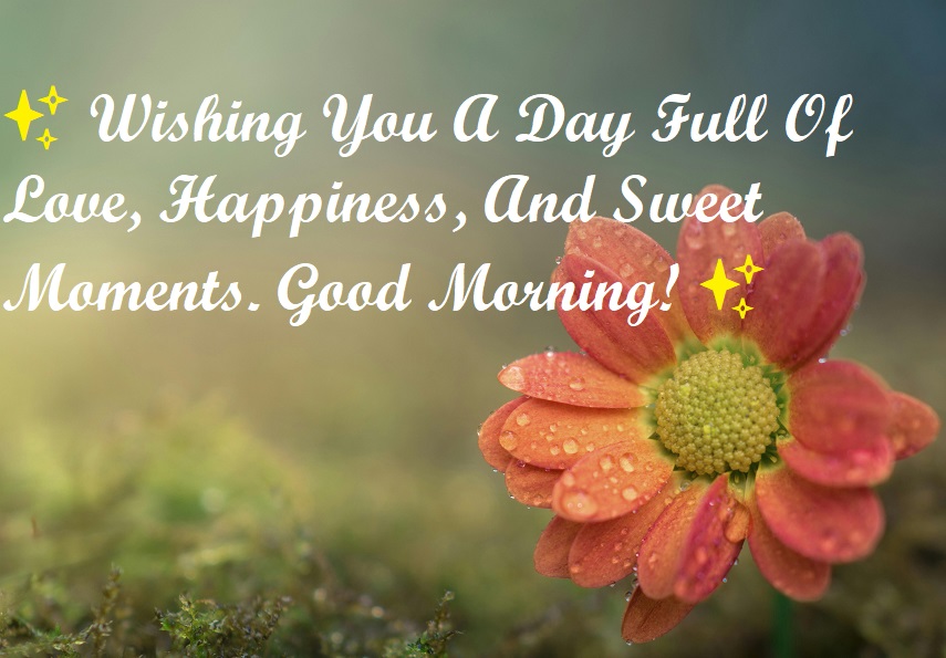 full of love and happiness