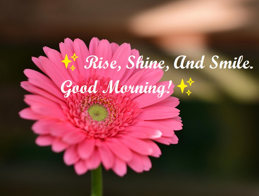 gm rise shine and smile