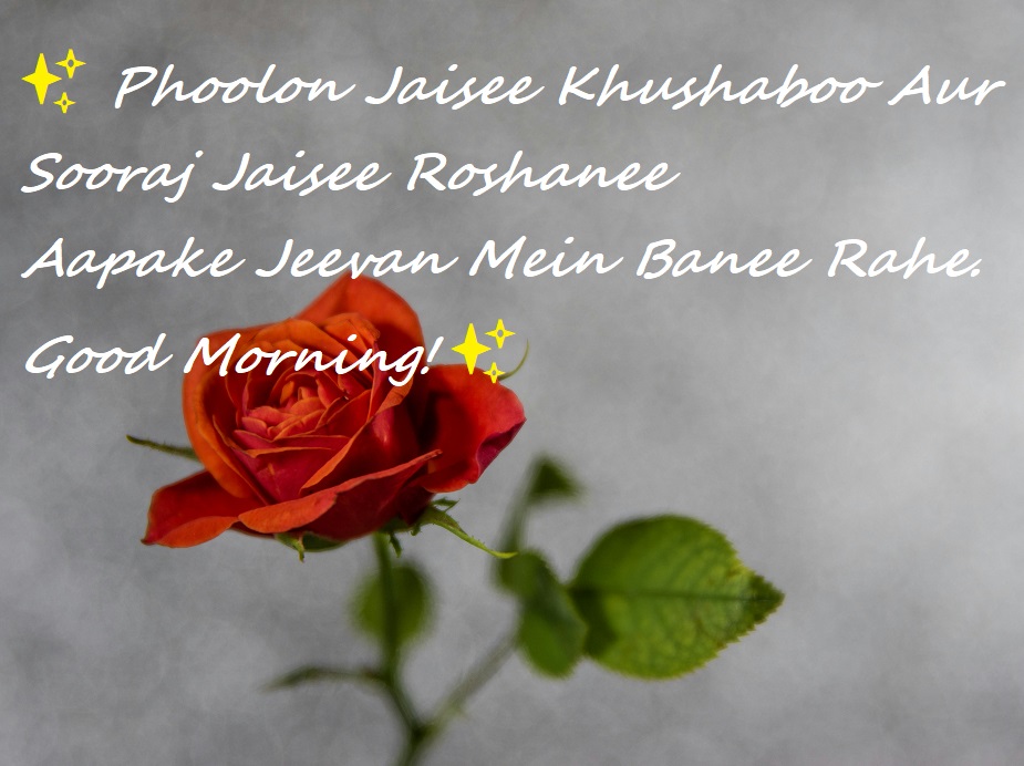 phoolon-jaisee-khushaboo