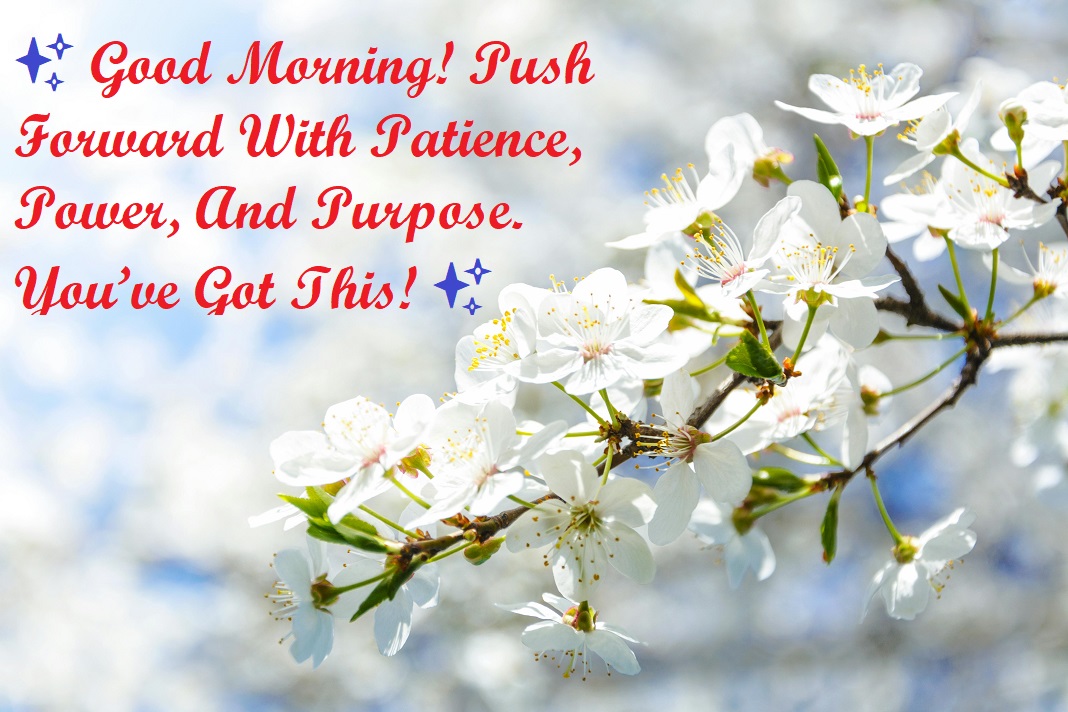 push forward with patience